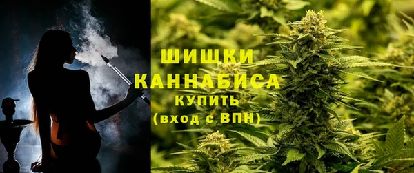 прущие крисы Карпинск